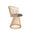 Fan Dining Chair by Tom Dixon